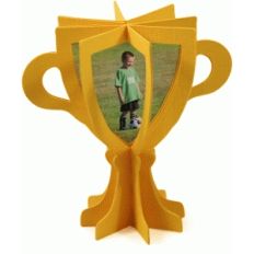 3d trophy frame