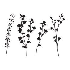Botanical Floral Elements, Flowers leaves and sprigs