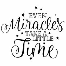 Even Miracles Take A Little Time