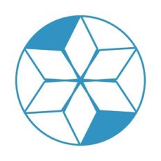 GEOMETRIC FLOWER