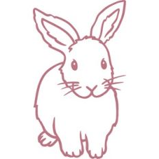 bunny
