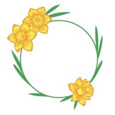 Daffodil spring round frame