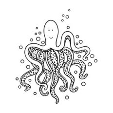 Octopus