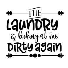 The Laundry is looking at me dirty again