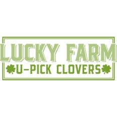 lucky farm U-pick clovers