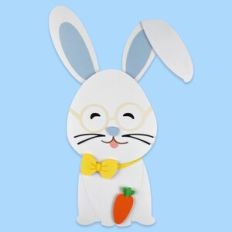 Bunny With Glasse