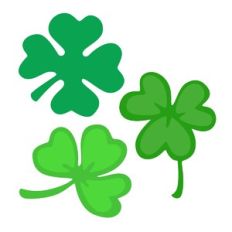 Clover Trio