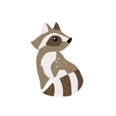 Raccoon