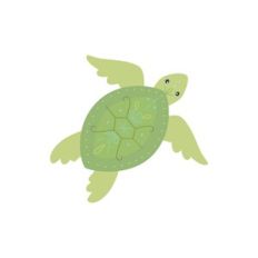 Sea Turtle