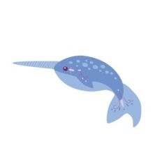 Narwhal