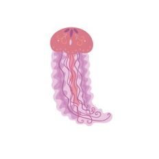 Jellyfish