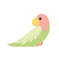 Parrot