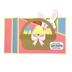 Easter Basket Wiper Cards