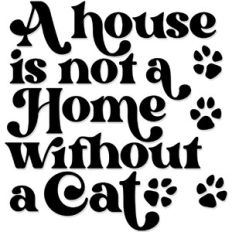 A house is not a home without a cat