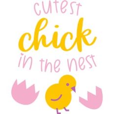 Cutest Chick in the Nest