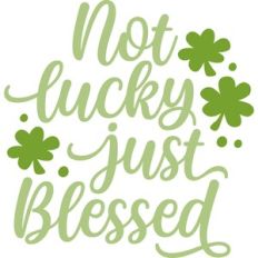 not lucky just blessed