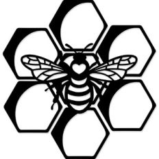 Honey Bee Hive