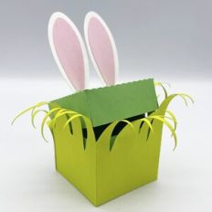 Bunny Ear Box - Cynthia Braga