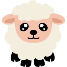 cute little lamb