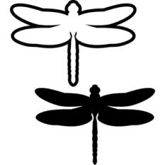 silhouette dragonfly