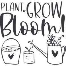 Plant Grow Bloom