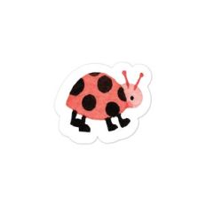 Ladybug