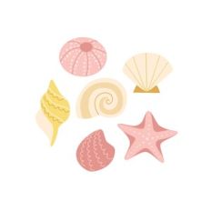 Seashells