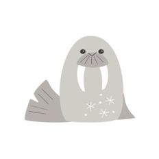 Walrus