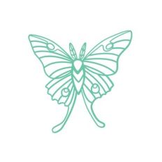 Luna Moth