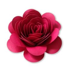 Spiral Flower 81
