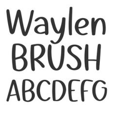 BFC Waylen Brush Font