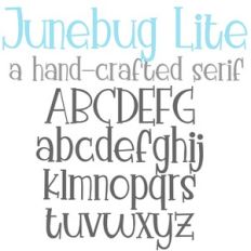 PN Junebug Lite