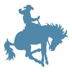 Rodeo Cowboy
