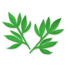 Foliage 12