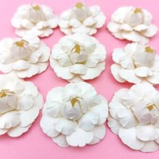 Camellia Flower 85