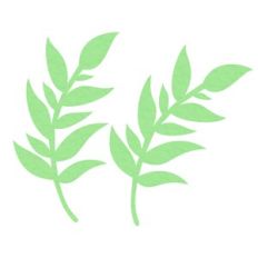 Foliage 22