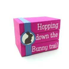 Bunny Trial Stacking Blocks