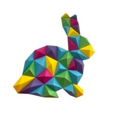 Bunny Geometric Frame