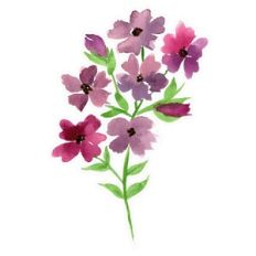 Pink Burgundy Red Watercolor Flower Spray Print and Cut
