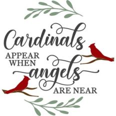 Cardinals Appear When Angels Are Near