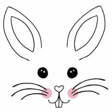 Cute Bunny Face