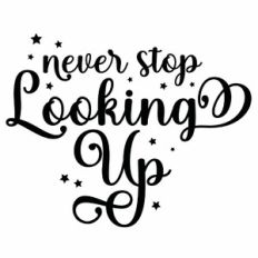 Never Stop Looking Up