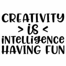 Creativity Is Intelligence Having Fun
