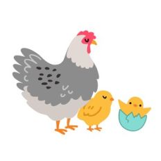 Hen with Chicks