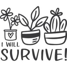 I Will Survive