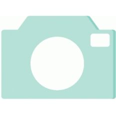 camera shaped card blank