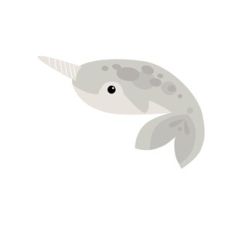 Narwhal