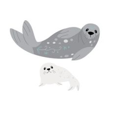 Seal mama and baby