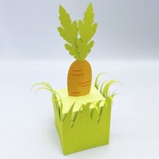 Carrot Box