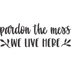 Pardon the Mess We Live Here